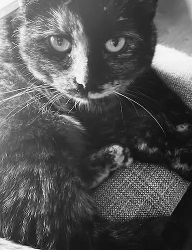 Apartment Wohnen Im Fachwerk - Fenja Nentershausen (Hessen)